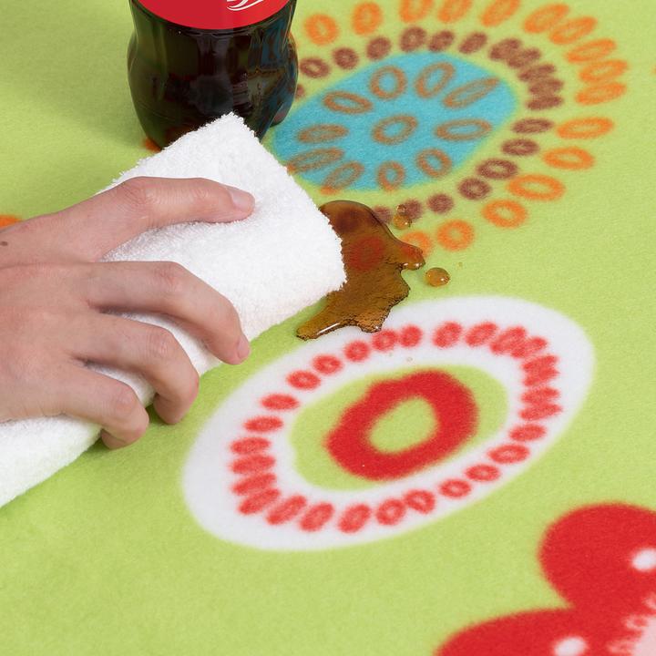 Actual product image Detex Picnic blanket