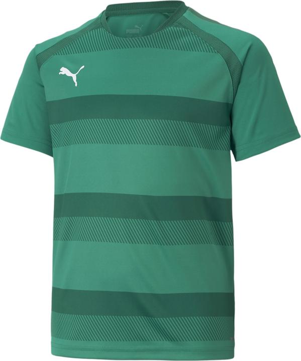 Actual product image Puma teamVISION Jersey Jr-704928 (164)