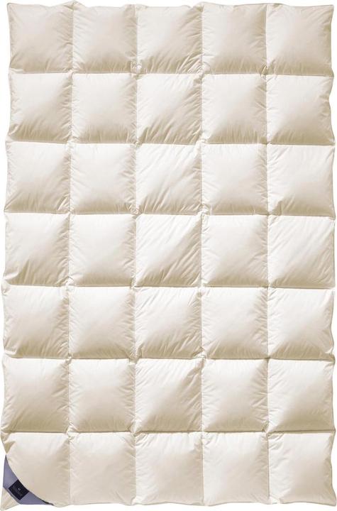 Produktbild Billerbeck 100 BELVEDERE® (135 x 200 cm)