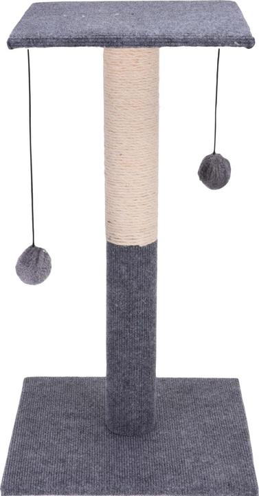 Casativo Katze (60 cm, Grey, Natur)