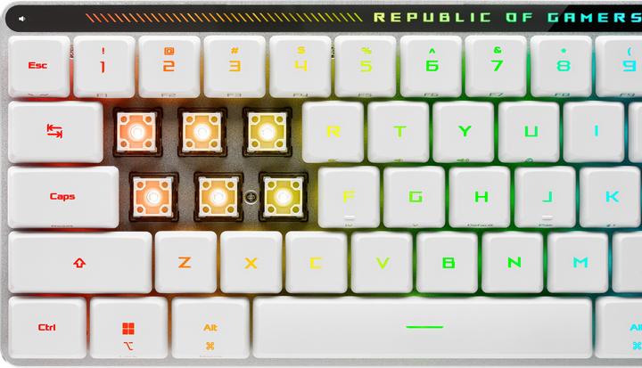 Actual product image ASUS ROG Falchion RX (CH, Wireless, Cable)