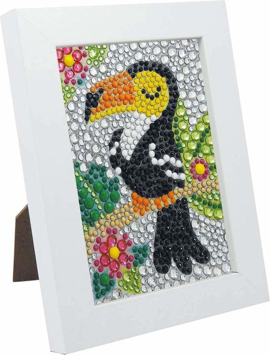 Actual product image Buki Toucan