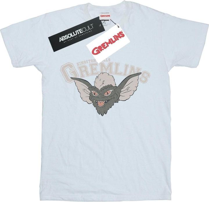 Image du produit Universal Textiles - T-shirt KINGSTON FALLS SPORT - Femme (3XL)