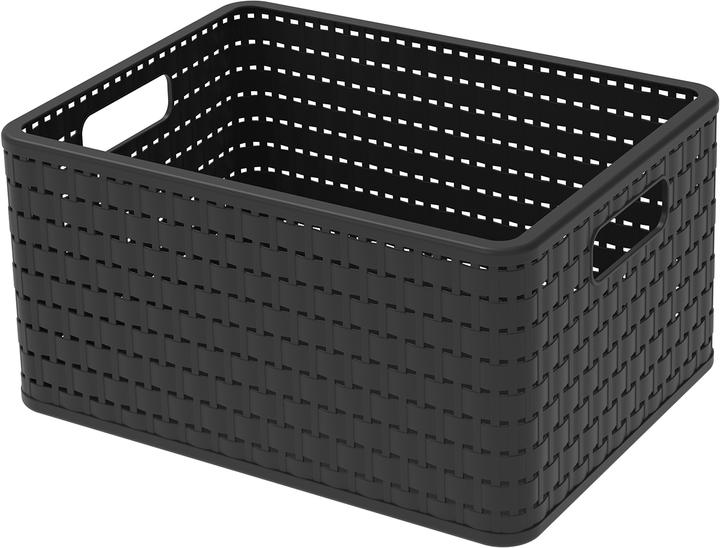 Rotho Pays (1 x, 36.8 x 27.8 x 19.1 cm)