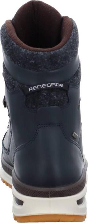 Produktbild Lowa Renegade Evo GTX /honig (42)