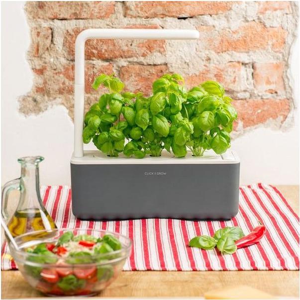 Actual product image Click and Grow smart garden (31.50 cm)