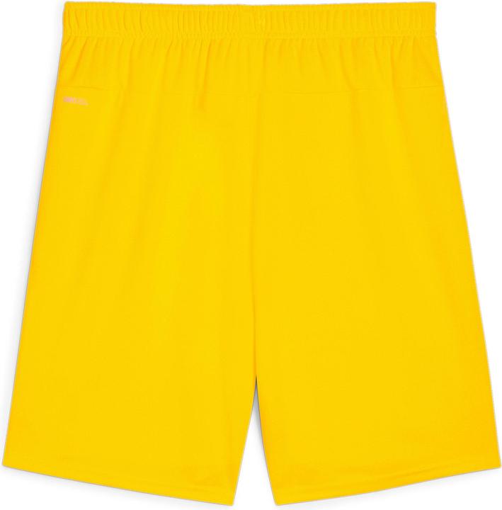 fasteryellow