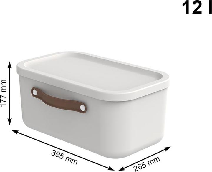 Image du produit Rotho Maloja (39,5 x 26,5 x 18 cm, 12 l)