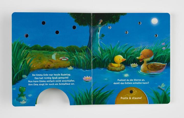 Produktbild Mein Puste-Licht-Buch: Wenn im Dunkeln Sterne funkeln (Deutsch, Christina Nömer, 2020)