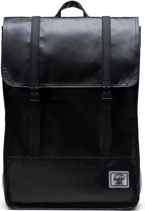 Herschel Survey II (17.50 l)