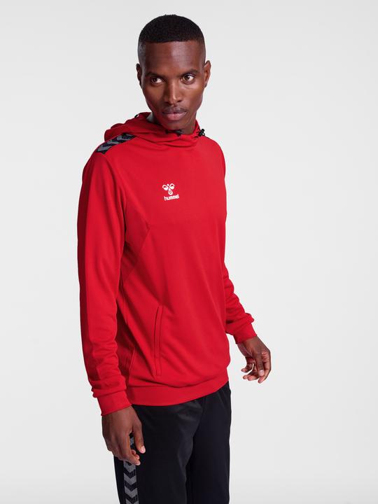 Actual product image hummel Hmlauthentic Pl Hoodie (XS)