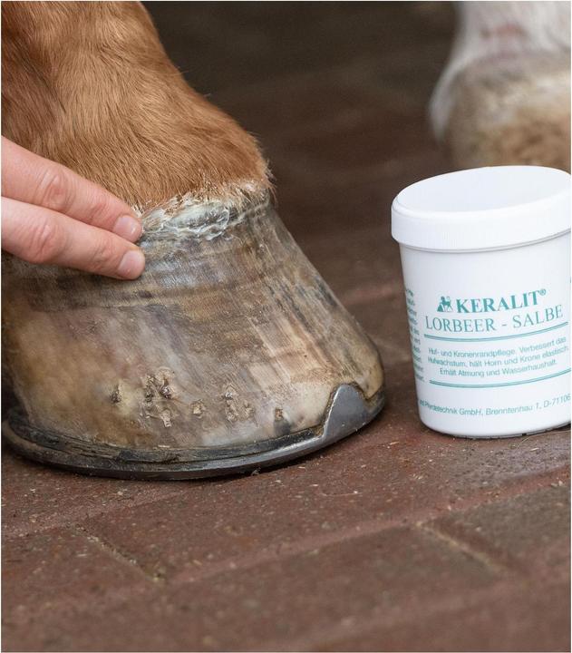 Actual product image Keralit Lorbeer Ointment