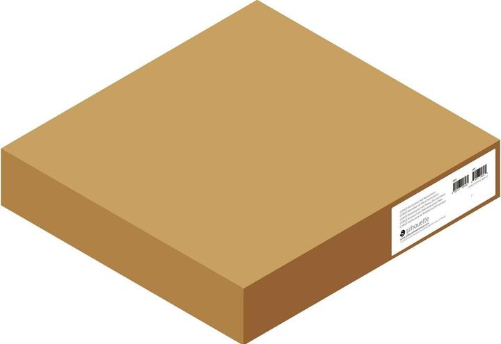 Actual product image Silhouette Accessories Spare part Curio 2 plate
