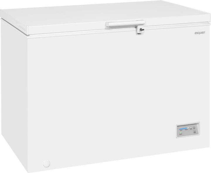 Exquisit GT320-HE-040E (Autonome, 308 l)