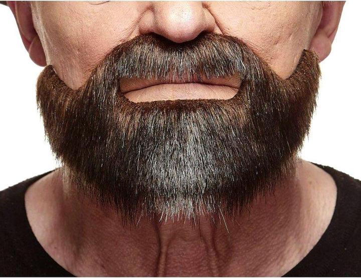Actual product image Metamorph Hollywoodian Vollbart