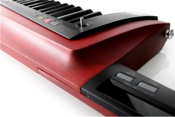 Image du produit Korg RK-100S 2 RED