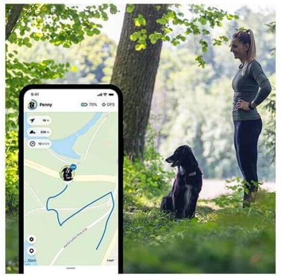 Produktbild Tractive Dog 4 GPS Tracker für Hunde (Hund, Allgemein)