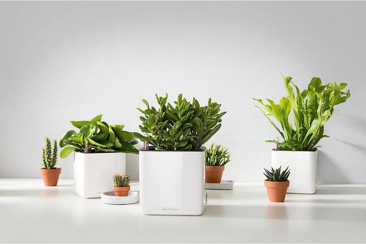 Produktbild Lechuza Cube Glossy 16 (16 cm)
