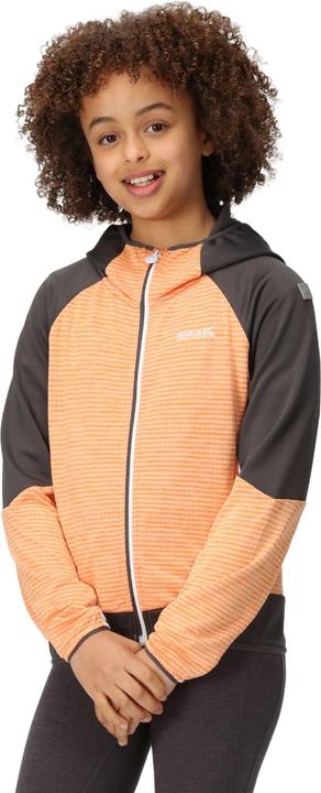 Image du produit Regatta - Veste softshell PRENTON - Enfant (116)