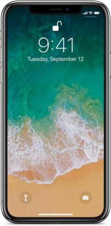 Immagine prodotto Screenguard 100% Pellicola di protezione del display Apple iPhone XS Crystal Clear (1 Pezzo/i, Apple iPhone XS)
