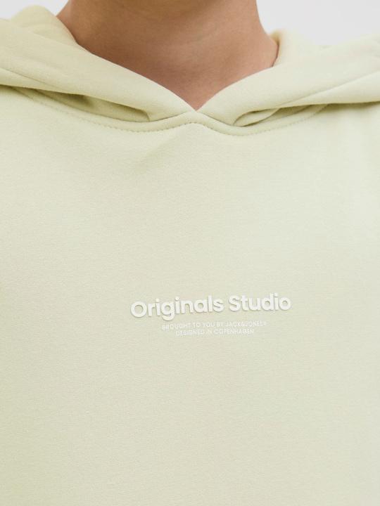 Image du produit Jack & Jones Sweat à capuche imprimé Sweat à capuche junior (152)