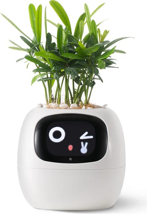 Actual product image Plantsio Ivy Smart Planter