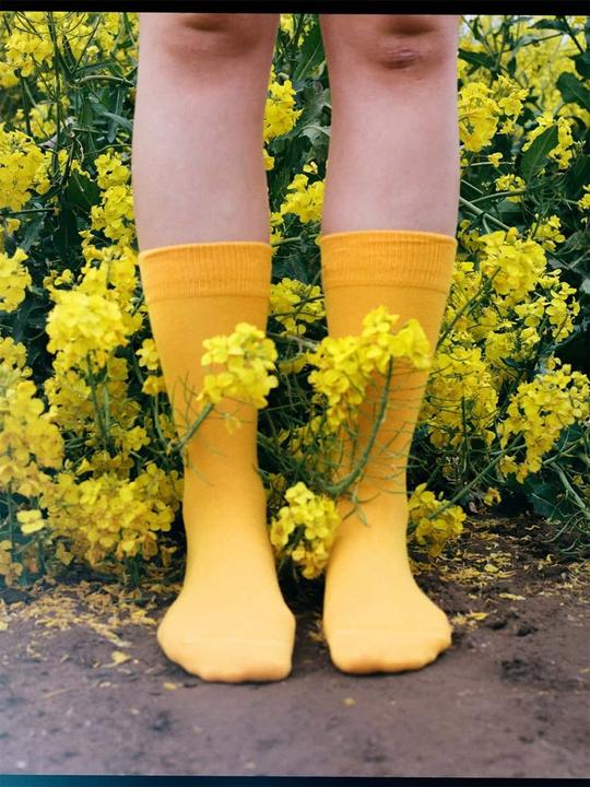 Produktbild DillySocks D-Compose (2er Pack, 43 - 46)