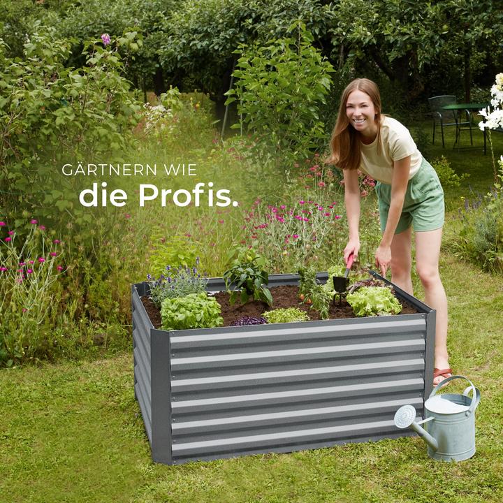 Image du produit tectake Lit surélevé en zinc pour la salvia