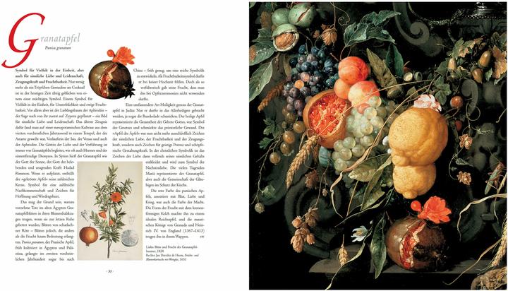 Produktbild Die Sprache der Blumen. Pflanzen und ihre symbolische Bedeutung (Deutsch, Marina Heilmeyer, 2024)