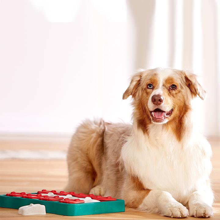 Produktbild Nina Ottosson Dog Brick (Intelligenzspielzeug Hund)