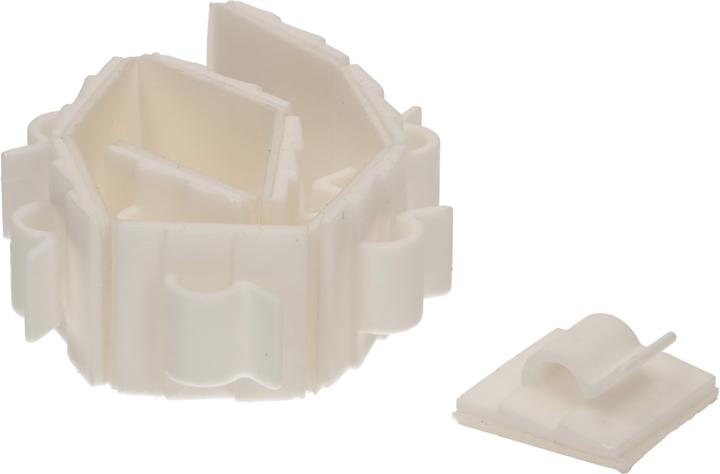 Max Hauri Adhesive bridges
