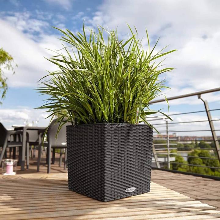 Produktbild Lechuza Cube Cottage (29.50 cm)