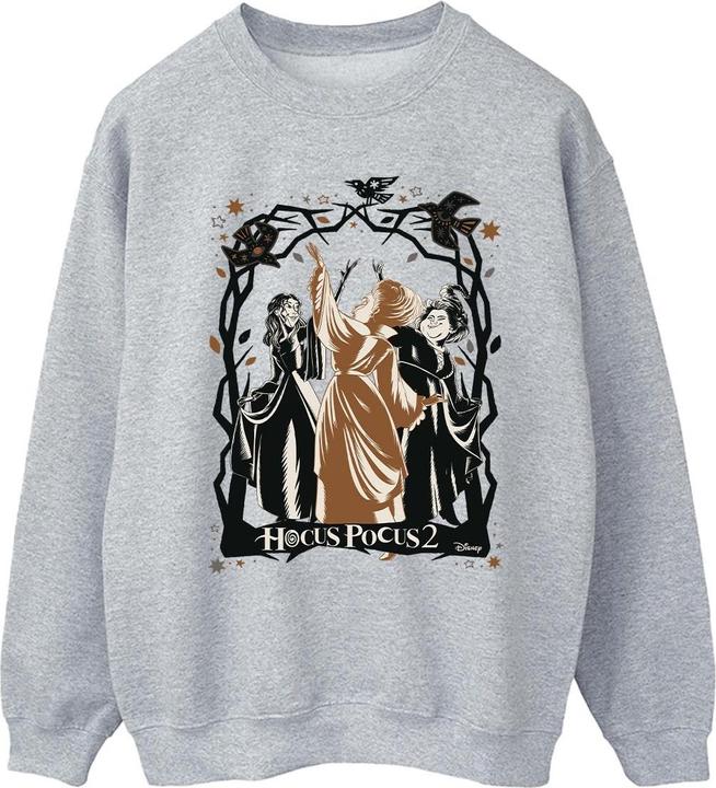 Disney Hocus Pocus Birds Sweatshirt (L)