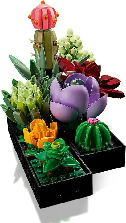 Actual product image LEGO Succulents (10309, LEGO Botanical, LEGO Rare Sets)