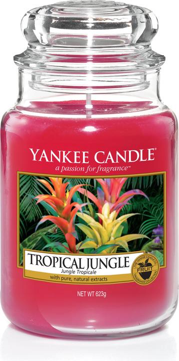 Produktbild Yankee Candle Tropical Jungle (623 g)