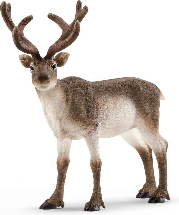 Schleich Rentier