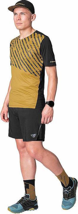 Immagine prodotto Dynafit Alpine Shirt Herren (XXL)