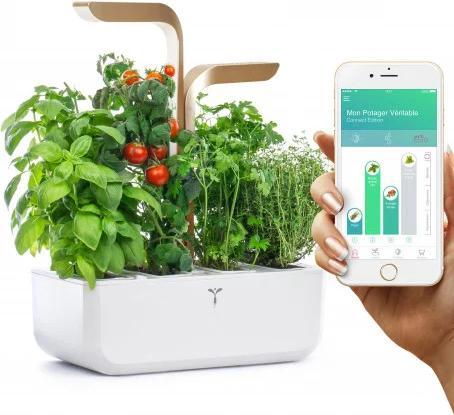 Produktbild Véritable VERITABLE CONNECT Indoor Garten gold inkl 4 Packs (18.50 cm)