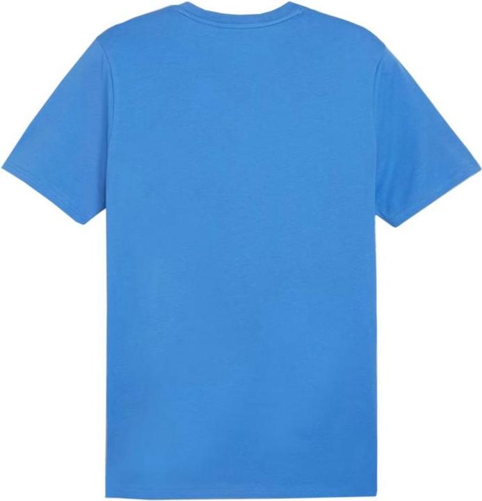 Actual product image Puma teamGOAL Casuals Polo (M)