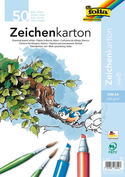 Folia carton à dessin (250 g/m², 50 x)