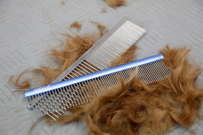 Immagine prodotto Kerbl Pettine di pelliccia (Gatto, Cane)