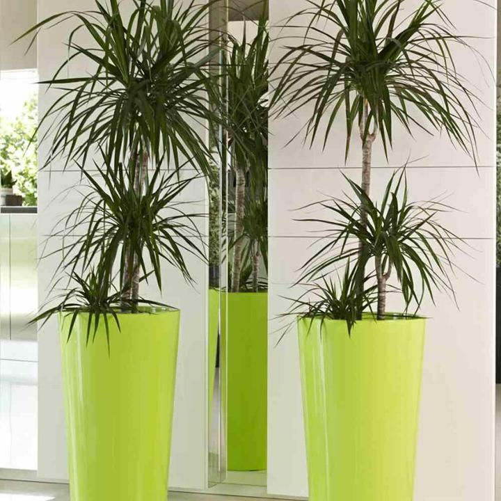 Actual product image Euro3plast Tuit (33 cm)