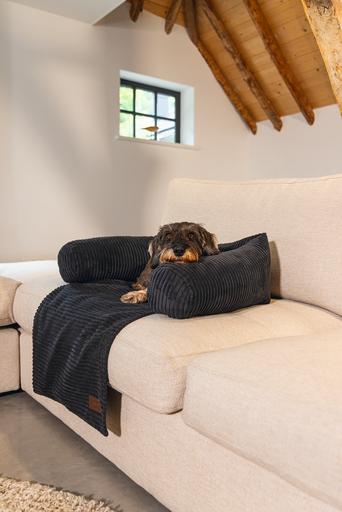 Image du produit Designed by Lotte Ribbed (Chien)