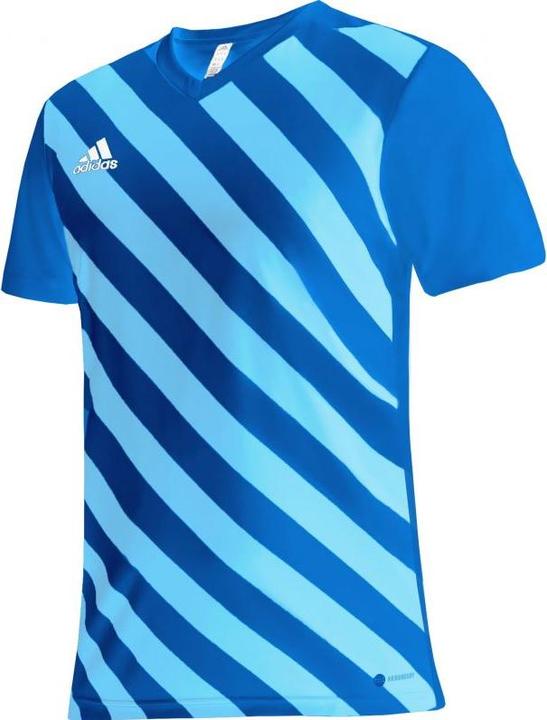 Actual product image adidas Entrada 22 Graphic Football Shirt Men (XXL)