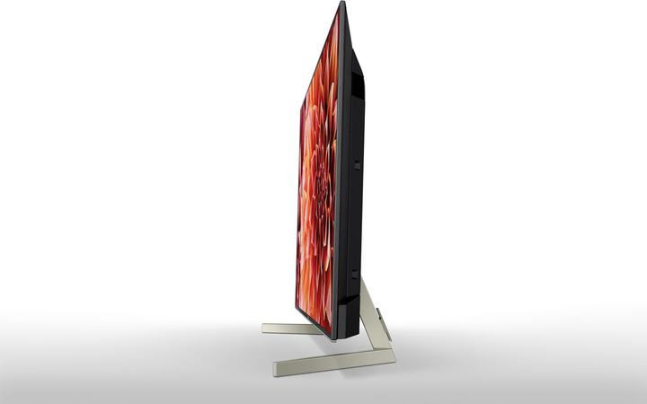 Immagine prodotto Sony Kd-49xf9005 (49", LCD, 4K, 2018)
