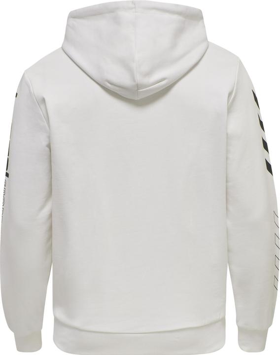 Actual product image hummel Lgc Birk Hoodie (XS)