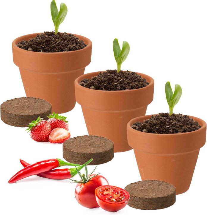 Produktbild ProGarden Mini Gewächshaus mit Anzuchtset - Tomate, Erdbeer und Chilis