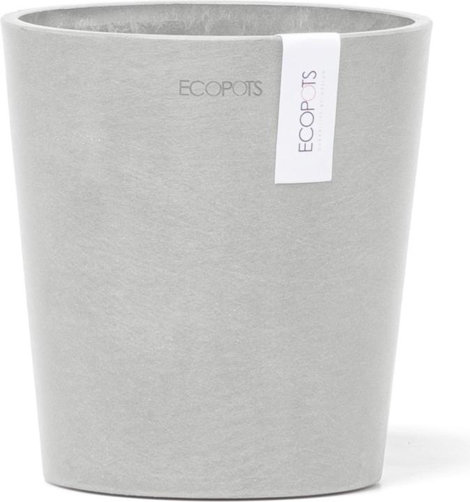 Image du produit Ecopots Morinda (14 cm)