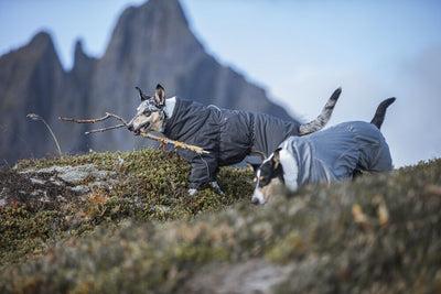 Image du produit Hurtta Extreme (50, Manteau pour chien)