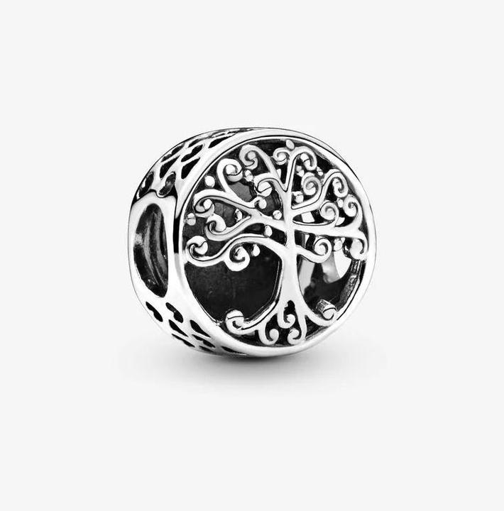 Image du produit Pandora Charm Hommage Familial (Argent)